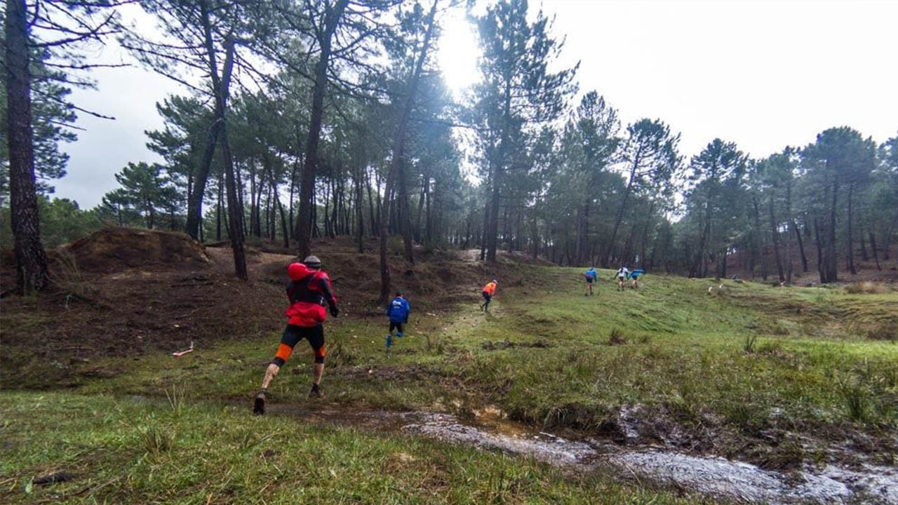 ritmos y zonas de entrenamiento en trail running